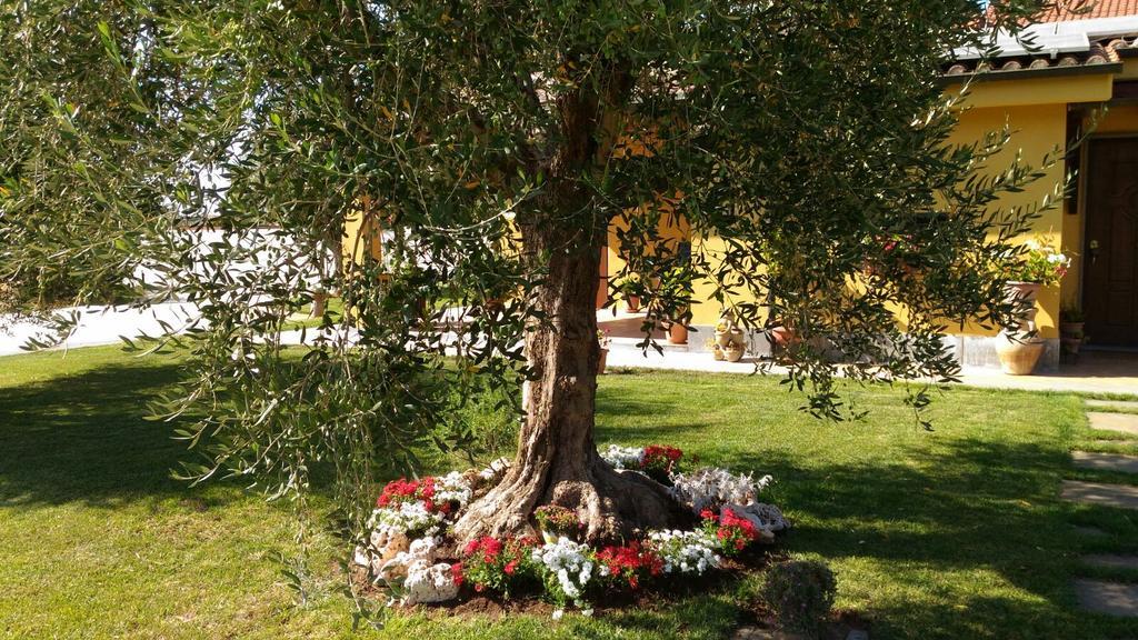 Готель L'Antico Vigneto Маріно Екстер'єр фото